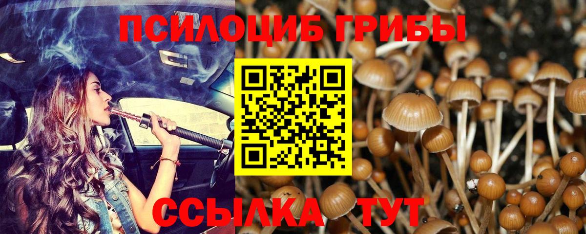 Королёв  Галлюциногенные грибы Psilocybine cubensis  Вход с VPN  Галлюциногенные грибы мухоморы 
