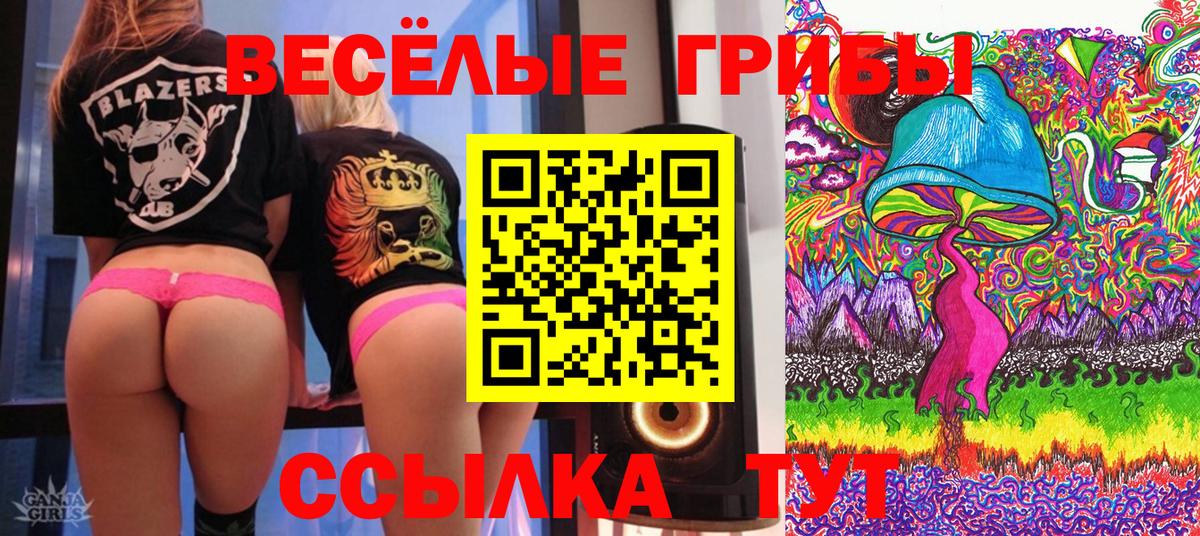 Псилоцибиновые грибы GOLDEN TEACHER Королёв